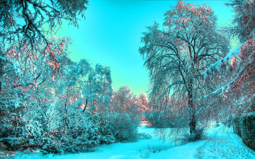 503073 (a): :2560x1600